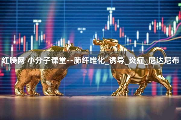 红腾网 小分子课堂--肺纤维化_诱导_炎症_尼达尼布